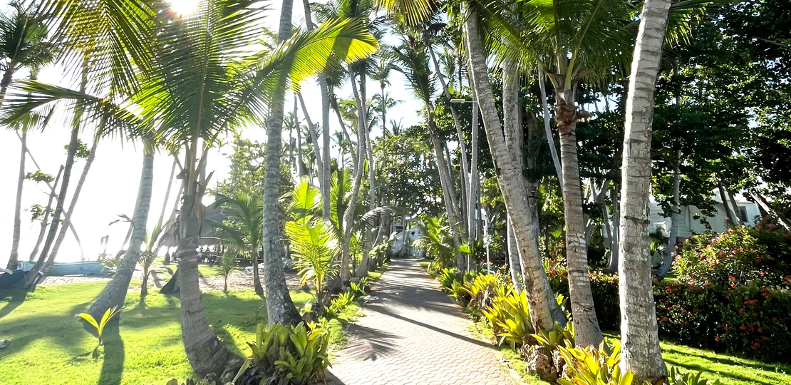 Asesoría inmobiliaria para invertir en propiedades en Punta Cana