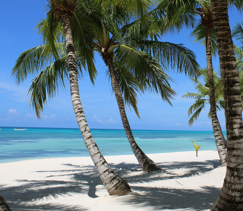 Servicio de relocation para mudarse a vivir a Punta Cana con BeSingular