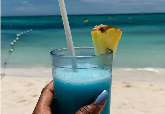 BeSingular Inversiones