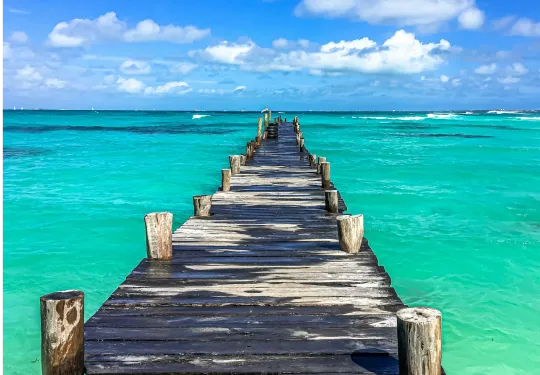 BeSingular Inversiones