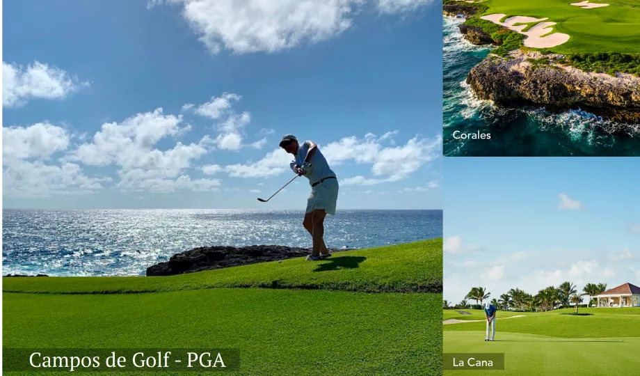 BeSingular Inversiones