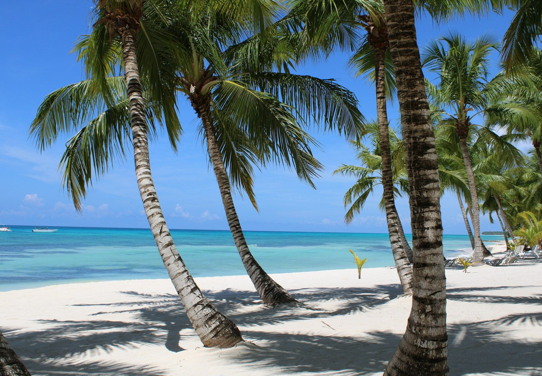 BeSingular Inversiones