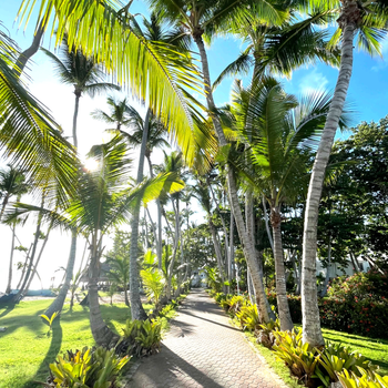 BeSingular Inversiones