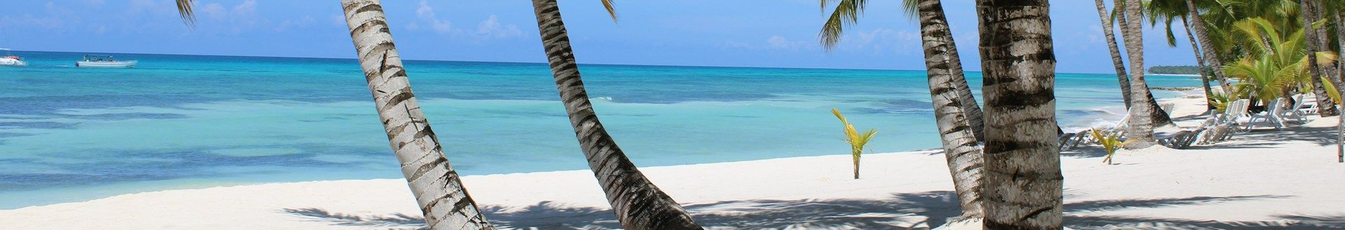 BeSingular Inversiones