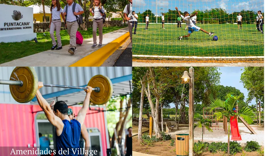 BeSingular Inversiones