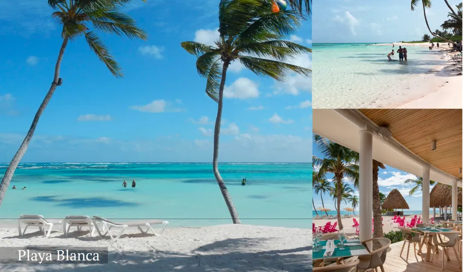 BeSingular Inversiones